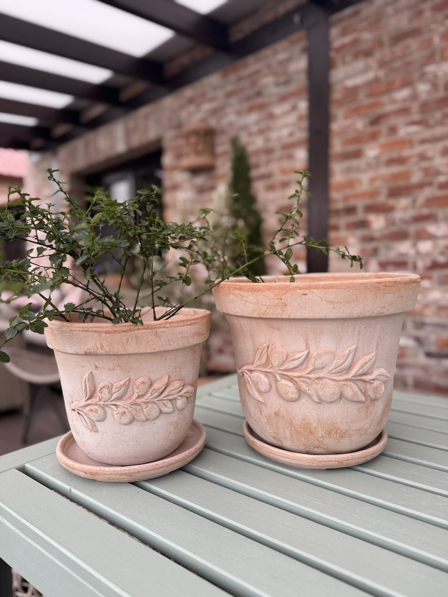 Donica z terakoty Vaso Olive 30 × 25 cm z podstawkiem – ręcznie wykonana we Włoszech - obrazek 6