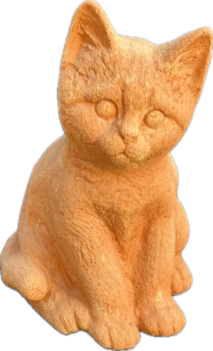 Gattino Orecchie – 20 cm
