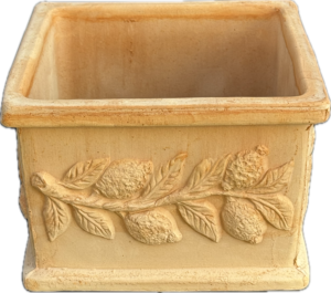 Quadro Limoni – 23 cm x 23 cm x 16 cm – zestaw z podstawkiem