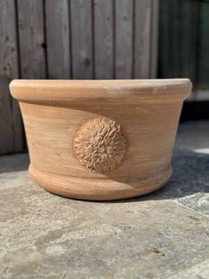 Ciotola con Dalia – 16 cm. x 30 cm.