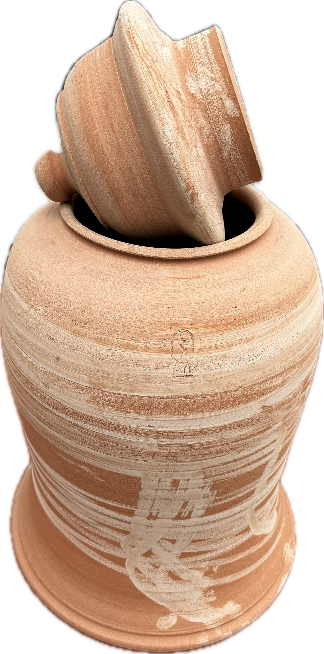 Rhubarb Forcer 70 cm - dzban na rabarbar - obrazek 3