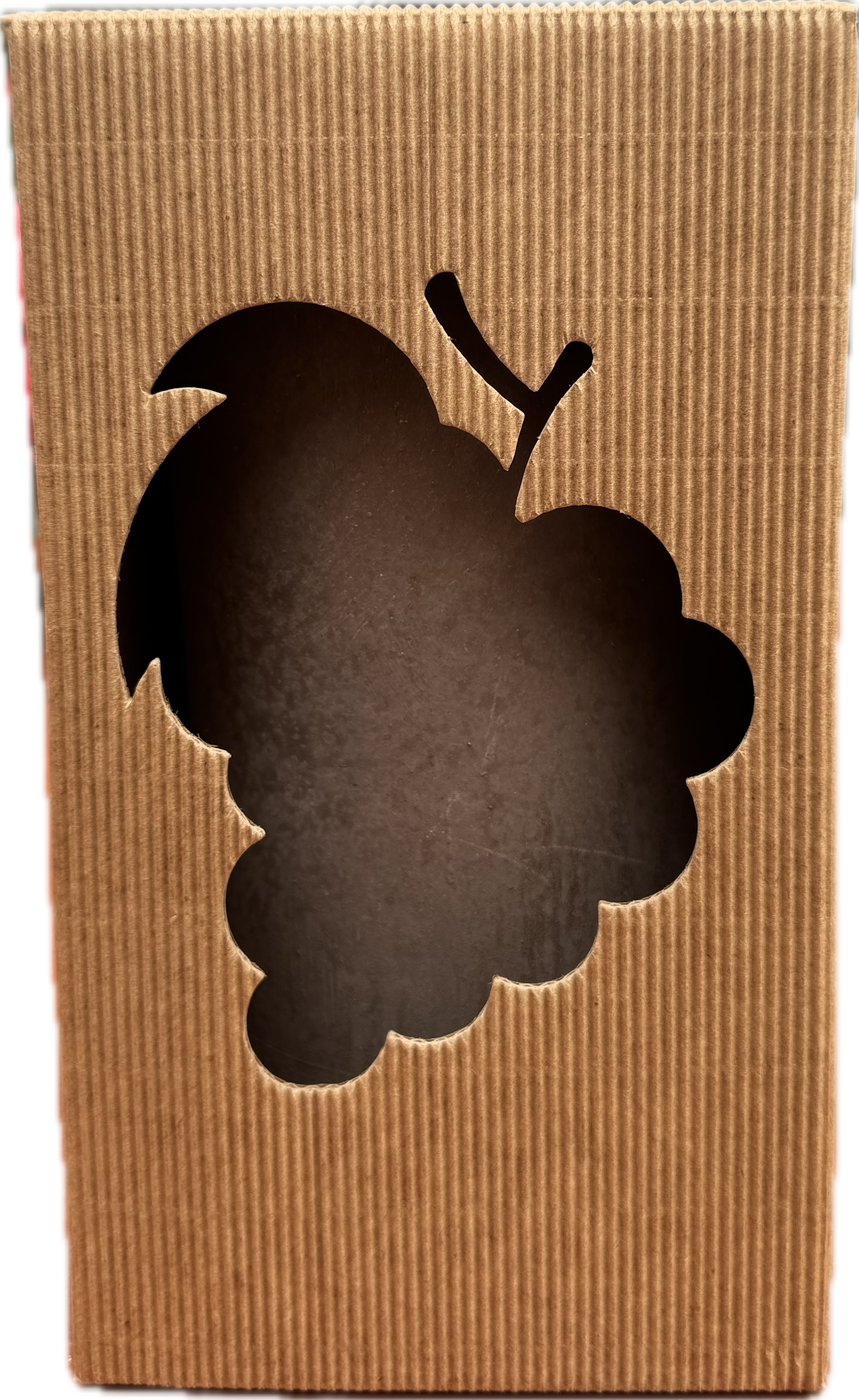 Refrigeratore per Vino Rotondo Eteusco - cooler do wina - obrazek 3